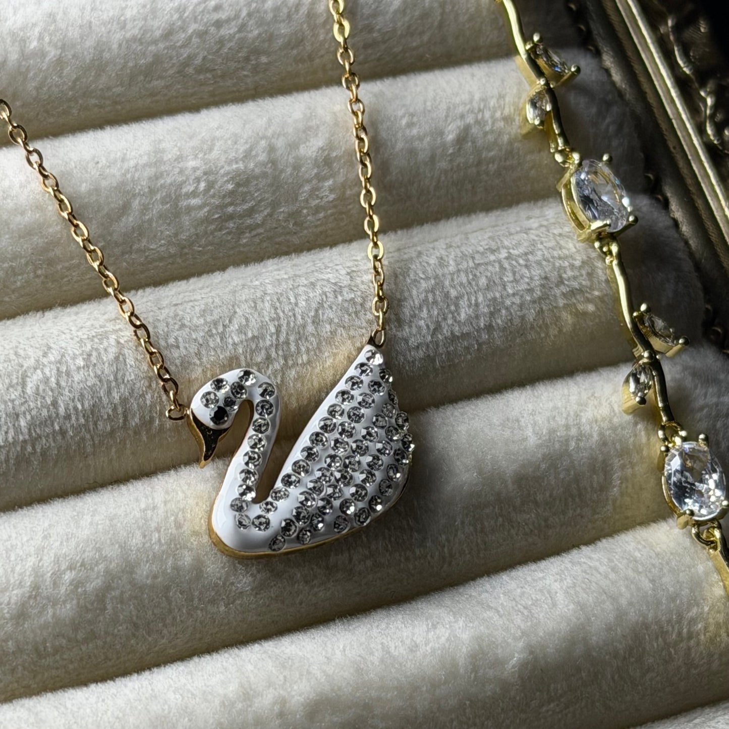 PACK SWAN | WHITE GOLD